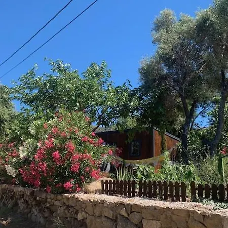 Location Du Ranch Cantarettu *