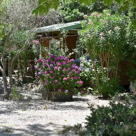 Campingplads Location Du Ranch Cantarettu