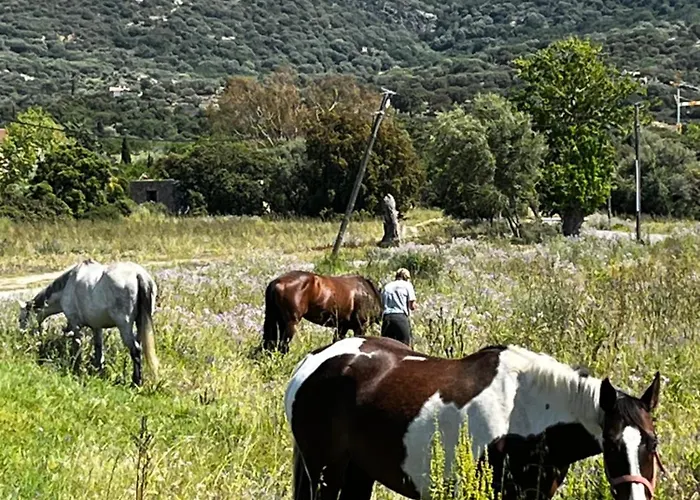 Location Du Ranch Cantarettu Camping Algajola (Corsica)