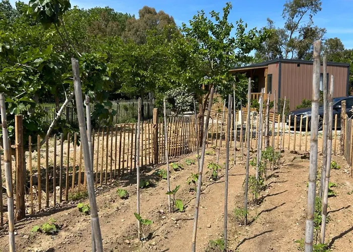 Location Du Ranch Cantarettu