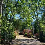 Location Du Ranch Cantarettu אתר קמפינג אלגז'ולה