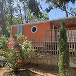 Location Du Ranch Cantarettu אתר קמפינג
