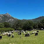 Location Du Ranch Cantarettu אתר קמפינג *