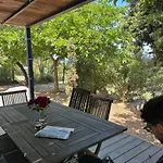 Location Du Ranch Cantarettu אתר קמפינג