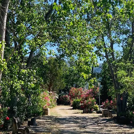 Location Du Ranch Cantarettu Кемпинг Альгайола