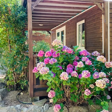 Campingplatz Location Du Ranch Cantarettu