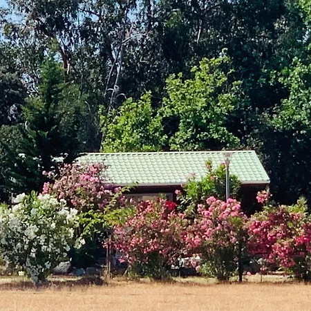 Location Du Ranch Cantarettu Кемпинг *