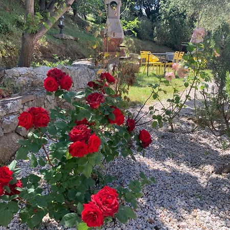 Location Du Ranch Campsite