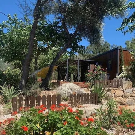Campsite Location Du Ranch Cantarettu Algajola (Corsica)