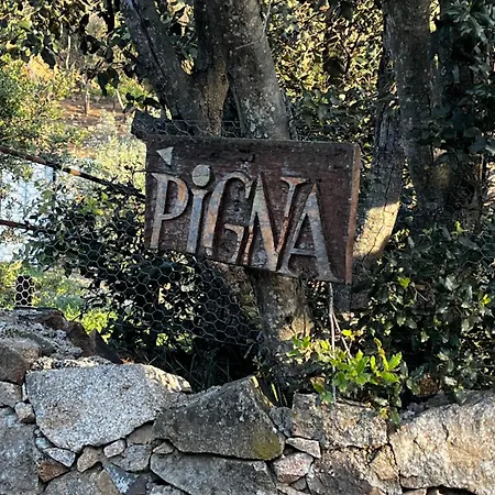Location Du Ranch Campsite Algajola (Corsica)