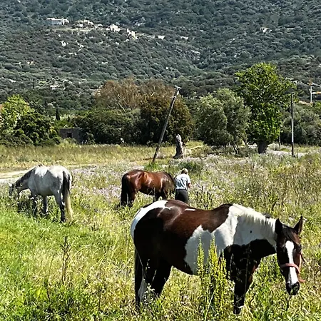Location Du Ranch Cantarettu אתר קמפינג אלגז'ולה