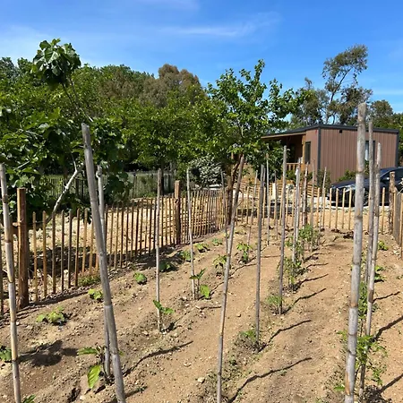 Location Du Ranch Cantarettu