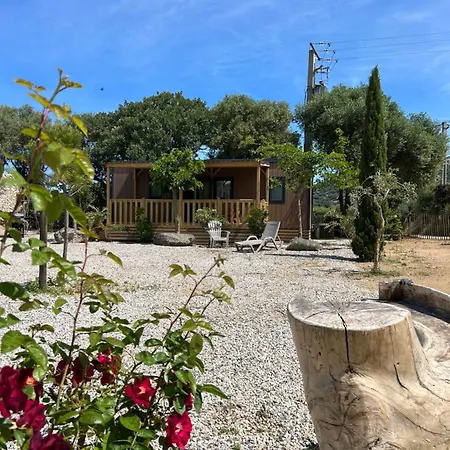 Location Du Ranch Cantarettu *