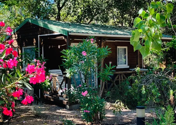 Camping Location Du Ranch Cantarettu *