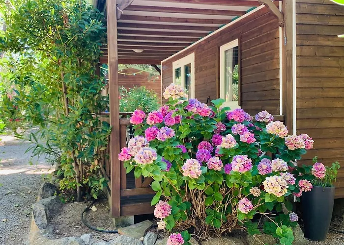 Campsite Location Du Ranch Cantarettu