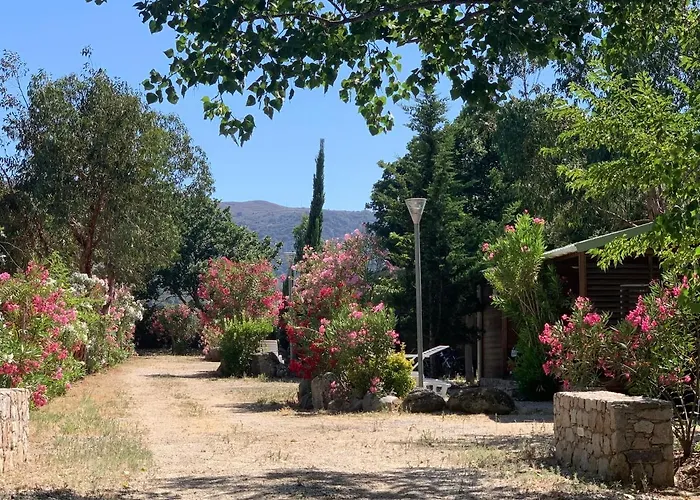 Campsite Location Du Ranch Cantarettu *