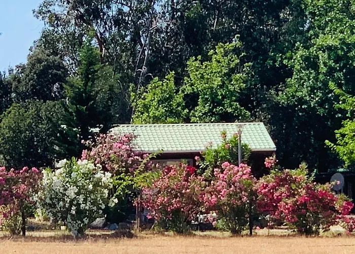 Location Du Ranch Cantarettu Campsite *