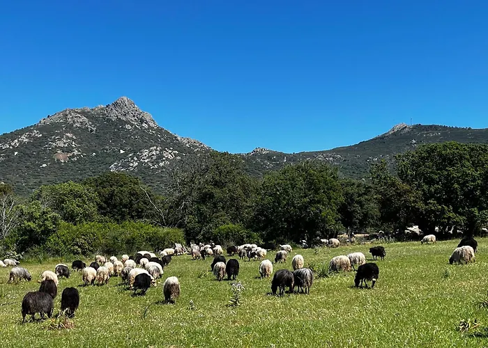 Location Du Ranch Cantarettu Camping *