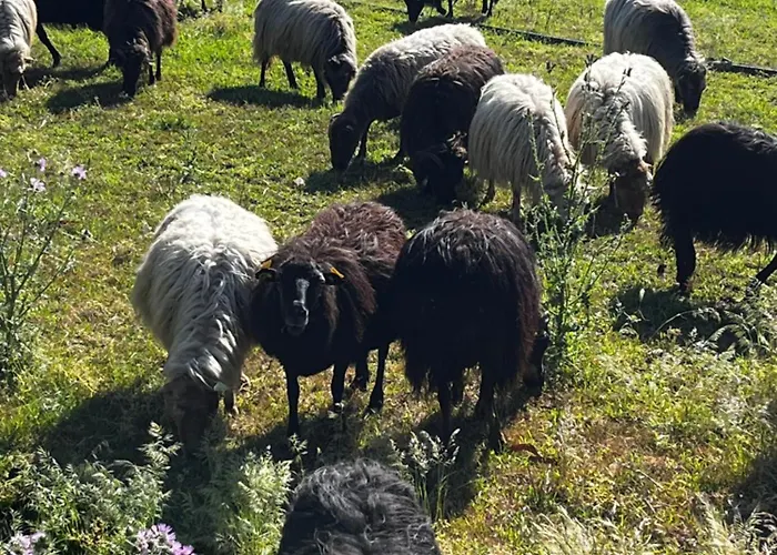Location Du Ranch Cantarettu * Algajola (Corsica)