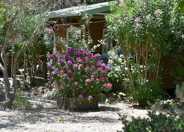 Camping Location Du Ranch Cantarettu