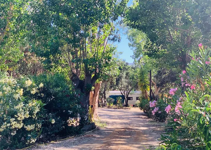 Location Du Ranch Cantarettu Camping *